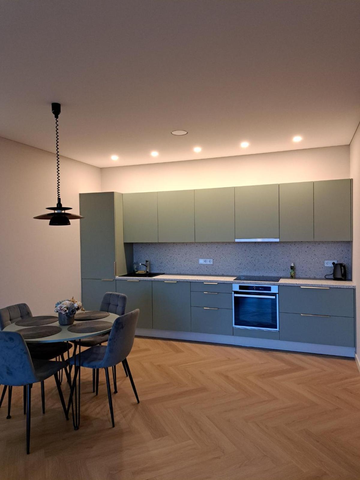 Ainiu Gatves Apartamentai Leilighet Panevėžys